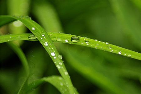 世界，您好！-牧渔BOX