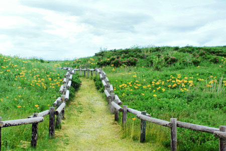 世界，您好！-牧渔BOX